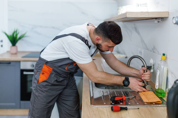 Best Clogged Drain Plumber  in East Ithaca, NY